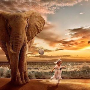 Meet your Posher, Helen